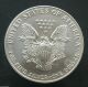1993 Sae Silver American Eagle 1 Oz Coin Silver photo 1