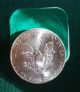 2014 American Silver Eagle 1oz @@one Day Auction@@ Silver photo 1