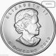 2013 Canadian 25th Ann.  Maple Leaf {brilliant - Gem} 1 Oz.  9999 Fine Silver Coin Silver photo 1