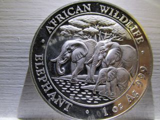 2013 Somali African Wildlife Elephant.  999 Silver Coin Near Perfect,  Prooflike photo