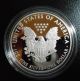 2010 - W American Eagle 1 Oz Proof Silver Coin Case Box Silver photo 1