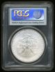 2010 - P $1 U.  S.  Silver American Eagle Coin,  Pcgs Slabbed Ms - 70,  Perfect Silver photo 1