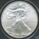 2010 - P $1 U.  S.  Silver American Eagle Coin,  Pcgs Slabbed Ms - 70,  Perfect Silver photo 2