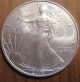 2003 Silver Eagle Dollar Bullion 1 Oz Fine Silver From Tube // U Grade It Silver photo 2