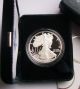 2006w Proof Silver American Eagle W/ Ogp Dollar Us Coin Bullion Uncirculated Silver photo 1