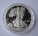 2002w Proof Silver American Eagle W/ Ogp Dollar Us Coin Bullion Uncirculated Silver photo 2
