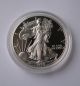 1999p Proof Silver American Eagle W/ Ogp Dollar Us Coin Bullion Uncirculated Silver photo 2