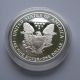 1991s Proof Silver American Eagle W/ Ogp Dollar Us Coin Bullion Uncirculated Silver photo 3