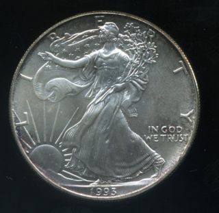 Uc 1993 American Silver Eagle 1 Oz.  Fine Silver From Littleton Coin Company photo