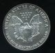 Uc 1993 American Silver Eagle 1 Oz.  Fine Silver From Littleton Coin Company Silver photo 1