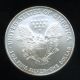 Uc 2006 American Silver Eagle 1 Oz.  Fine Silver Promo From Numismatic News Silver photo 1