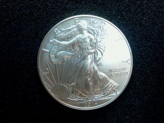 Stunning 2014 Silver Eagle Dollar photo