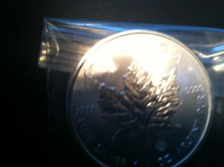 2014 Canada Maple Leaf Sivler Coin.  9999 Pure Fine Silver photo