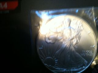 2008 Ameican Eagle Silver Coin photo