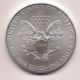 2013 Silver American Eagle - 1 Troy Ounce Dollar Coin (4 Available) Silver photo 1