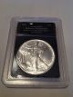 1991 American Eagle Silver Dollar.  Brilliant Uncirculated.  Slabbed Silver photo 1