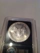 1991 American Eagle Silver Dollar.  Brilliant Uncirculated.  Slabbed Silver photo 3
