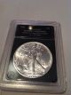 1989 American Eagle Silver Dollar.  Brilliant Uncirculated.  Slabbed Silver photo 1