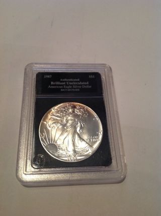 1987 American Eagle Silver Dollar.  Brilliant Uncirculated.  Slabbed photo