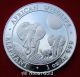 Silver Coin 1 Oz 2014 Somalia Africa Family Elephant Wildlife Mirror Face Bu Silver photo 2