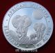 Silver Coin 1 Oz 2014 Somalia Africa Family Elephant Wildlife Mirror Face Bu Silver photo 4