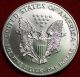 Uncirculated 1999 American Eagle Dollar Silver photo 1