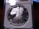 1987 - S Pf69 Ultra Cameo (proof) Silver American Eagle Ngc Certified - Silver photo 3