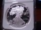 2010 - W Pf69 Ultra Cameo (proof) Silver American Eagle Ngc Certified - Silver photo 1