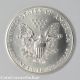 1991 United States Silver Eagle Dollar (ccx3944) Silver photo 1