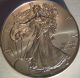 2014 Silver American Eagle Coin. Silver photo 1