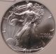 1995 Silver Eagle,  Ngc Ms 69. .  Coinboxguy Silver photo 1
