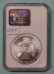 1995 Silver Eagle,  Ngc Ms 69. .  Coinboxguy Silver photo 3