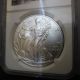 2011 Eagle 25 Anniversary Early Releases Ngc Ms70 Silver Label Silver photo 3