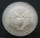 2002 Sae Silver American Eagle 1 Oz Coin Silver photo 1
