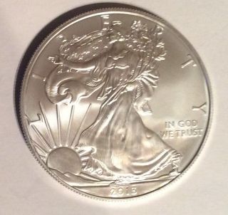 2013 American Silver Eagle $1 Dollar Unc Coin.  999 photo