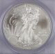 2013 American Silver Eagle (pcgs Ms70) Signed By John M Mercanti Chief Engraver Silver photo 1