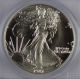 1987 American Silver Eagle (pcgs Ms69) Signed By John M Mercanti Chief Engraver Silver photo 1