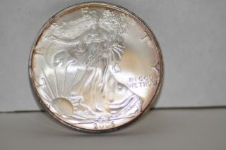 2006 American Silver Eagle 1 Troy Oz.  999 Fine Silver $1 Coin photo