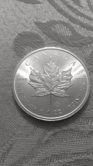2014 1 Troy Oz Silver Canadian Maple Leaf Bullion Coin 9999 Pure Brilliant photo