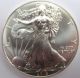 2013 U.  S.  Silver Dollar 1 Oz Fine Silver - Uncirculated Eagle Silver photo 1