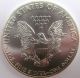 2013 U.  S.  Silver Dollar 1 Oz Fine Silver - Uncirculated Eagle Silver photo 2