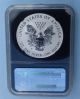 2013 W Ngc Pf70 Reverse Proof Early Release Silver Eagle,  Retro Blue Star Label Silver photo 1