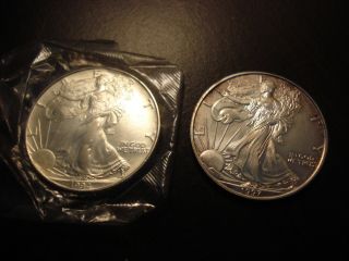 American Eagle Walking Liberty Fine Silver One Dollar Coin X2 Uncirculated photo