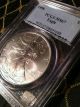 Peripheral Toning - 1998 Silver American Eagle $1 - 1 Oz.  999 Pcgs Ms67 Silver photo 3