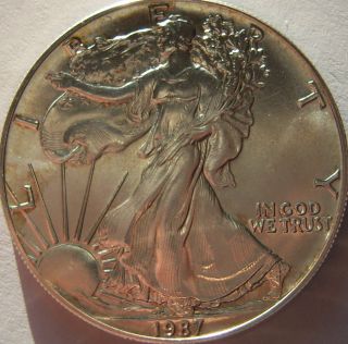 1987 Silver American Eagle Coin photo