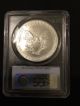 2006 American Silver Eagle Pcgs Ms69 First Strike Silver photo 1