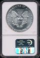 1988 Silver American Eagle Coin Ngc Ms 69 Aeg1649 Silver photo 1