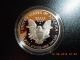1998 P Proof American Silver Eagle Complete & Silver photo 1