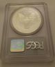 1996 - P American Silver Eagle Dollar Pr69dcam Pcgs Proof 69 Deep Cameo Silver photo 1