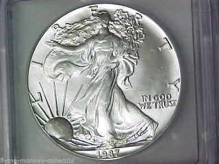 Icg Ms69 1987 American Eagle Silver Dollar.  999 Fine Silver 1 Ounce photo